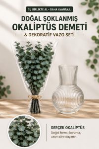Şoklanmış Gerçek Okaliptüs Demeti– 4 Ana Dal + Yan Dallı Büyük Demet Okaliptüs ve Dekoratif Cam Vazo