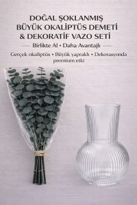 Şoklanmış Gerçek Okaliptüs Demeti– 4 Ana Dal + Yan Dallı Büyük Demet Okaliptüs ve Dekoratif Cam Vazo - Görsel 2