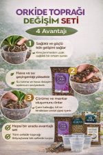 Orkide Toprağı Değişim Seti – İthal Çam Kabuğu, Coco Cips, Kil Bilyesi ve Şeffaf Saksı Seti - Görsel 3