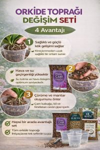 Orkide Toprağı Değişim Seti – İthal Çam Kabuğu, Coco Cips, Kil Bilyesi ve Şeffaf Saksı Seti - Görsel 3