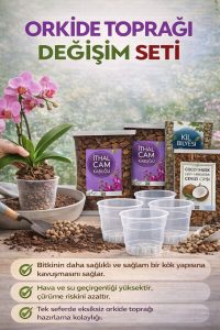 Orkide Toprağı Değişim Seti – İthal Çam Kabuğu, Coco Cips, Kil Bilyesi ve Şeffaf Saksı Seti - Görsel 4