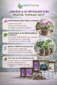 Orkide Toprağı Değişim Seti – İthal Çam Kabuğu, Coco Cips, Kil Bilyesi ve Şeffaf Saksı Seti - Görsel 5