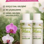 2 Adet Dal ve Çiçek Destekleyici Premium Besin 100 ml – Güçlü Dal Gelişimi ve İri Çiçeklenme