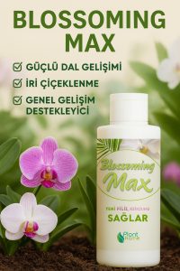 2 Adet Dal ve Çiçek Destekleyici Premium Besin 100 ml – Güçlü Dal Gelişimi ve İri Çiçeklenme - Görsel 2