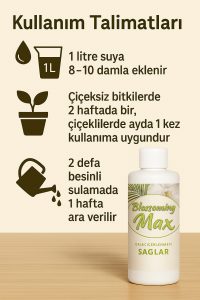 2 Adet Dal ve Çiçek Destekleyici Premium Besin 100 ml – Güçlü Dal Gelişimi ve İri Çiçeklenme - Görsel 3