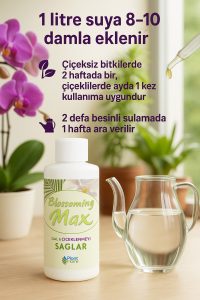 2 Adet Dal ve Çiçek Destekleyici Premium Besin 100 ml – Güçlü Dal Gelişimi ve İri Çiçeklenme - Görsel 4