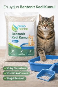 Bentonit Kedi Kumu 2’li Set 10 Litre (2×5 L) – Parfümsüz, Kolay Temizlik - Görsel 3