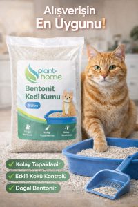 Bentonit Kedi Kumu 2’li Set 10 Litre (2×5 L) – Parfümsüz, Kolay Temizlik - Görsel 4