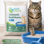 Bentonit Kedi Kumu 5 Litre – Doğal, Kolay Topaklanan, Etkili Koku Kontrollü