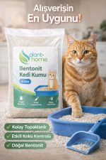 Bentonit Kedi Kumu 5 Litre – Doğal, Kolay Topaklanan, Etkili Koku Kontrollü - Görsel 2