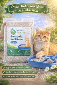 Bentonit Kedi Kumu 5 Litre – Doğal, Kolay Topaklanan, Etkili Koku Kontrollü - Görsel 3