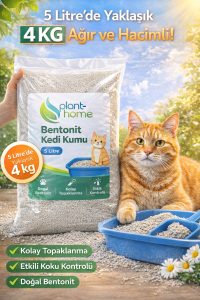 Bentonit Kedi Kumu 5 Litre – Doğal, Kolay Topaklanan, Etkili Koku Kontrollü - Görsel 4