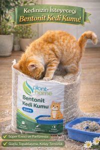 Bentonit Kedi Kumu 5 Litre – Doğal, Kolay Topaklanan, Etkili Koku Kontrollü - Görsel 5