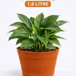 Akıllı 2’li Saksı Seti – Terracota Dekoratif Saksı + Şeffaf Üretim Saksısı | Drenajlı, Kırılmaz