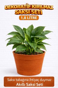 Akıllı 2’li Saksı Seti – Terracota Dekoratif Saksı + Şeffaf Üretim Saksısı | Drenajlı, Kırılmaz