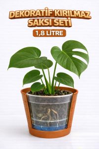 Akıllı 2’li Saksı Seti – Terracota Dekoratif Saksı + Şeffaf Üretim Saksısı | Drenajlı, Kırılmaz - Görsel 3