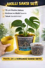 2’li Saksı Seti – 15 Pot Üretim Saksısı + 1,8 Litre Sarı Dekoratif Kırılmaz Saksı | Tabaksız Uyumlu - Görsel 7