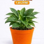 2’li Saksı Seti | 15 Pot Şeffaf Üretim Saksısı + 1,8 L Turuncu Kırılmaz Dekoratif Dış Saksı