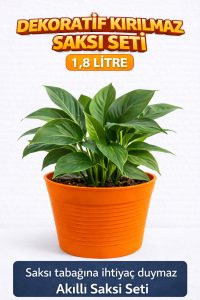 2’li Saksı Seti | 15 Pot Şeffaf Üretim Saksısı + 1,8 L Turuncu Kırılmaz Dekoratif Dış Saksı