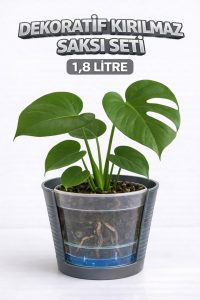 2’li Saksı Seti | 15 Pot Yarı Şeffaf Üretim Saksısı + 1,8 L Gri Dekoratif Kırılmaz Dış Saksı - Görsel 3