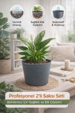 2’li Saksı Seti | 15 Pot Yarı Şeffaf Üretim Saksısı + 1,8 L Gri Dekoratif Kırılmaz Dış Saksı - Görsel 4