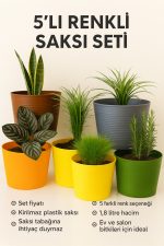 5’li 1,8 L Dekoratif Kırılmaz Saksı Seti + 10 L Premium Bitki Toprağı (Cocopeat & Perlitli) - Görsel 2