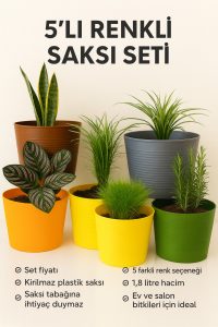 5’li 1,8 L Dekoratif Kırılmaz Saksı Seti + 10 L Premium Bitki Toprağı (Cocopeat & Perlitli) - Görsel 2