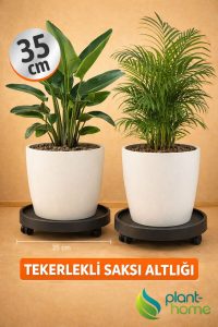 (1 ADET) 35 cm Tekerlekli Saksı Altlığı –Yük Taşıyıcı, Saksı - Damacana - Hava Temizleyici - Tüp