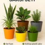 5 Adet Renkli Kırılmaz Plastik Saksı Seti | Tabaksız Kullanım | 1,8 Litre | Ev & Salon İçin