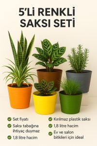 5 Adet Renkli Kırılmaz Plastik Saksı Seti | Tabaksız Kullanım | 1,8 Litre | Ev & Salon İçin