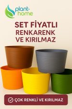 5 Adet Renkli Kırılmaz Plastik Saksı Seti | Tabaksız Kullanım | 1,8 Litre | Ev & Salon İçin - Görsel 3