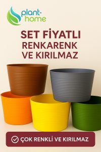 5 Adet Renkli Kırılmaz Plastik Saksı Seti | Tabaksız Kullanım | 1,8 Litre | Ev & Salon İçin - Görsel 3