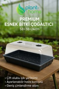Mikro Filiz, Tohum Çimlendirme Çelik Köklendirme | BPA İçermez – Premium Mini Sera - Görsel 4