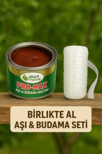 Aşı ve Budama Macunu + Silikonlu Aşı Bandı Seti – Profesyonel Aşı 2'Lİ Bakım Seti