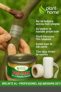 Aşı ve Budama Macunu + Silikonlu Aşı Bandı Seti – Profesyonel Aşı 2'Lİ Bakım Seti - Görsel 2
