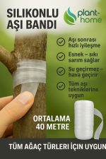 Aşı ve Budama Macunu + Silikonlu Aşı Bandı Seti – Profesyonel Aşı 2'Lİ Bakım Seti - Görsel 4