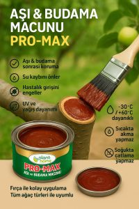 Aşı ve Budama Macunu + Silikonlu Aşı Bandı Seti – Profesyonel Aşı 2'Lİ Bakım Seti - Görsel 5