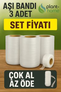 Şeffaf Silikon Aşı Bandı 3’lü Set – Hızlı İyileştirme Bandı