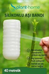 Şeffaf Silikon Aşı Bandı 3’lü Set – Hızlı İyileştirme Bandı - Görsel 2