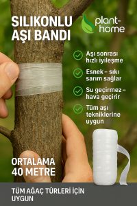 Şeffaf Silikon Aşı Bandı 3’lü Set – Hızlı İyileştirme Bandı - Görsel 3