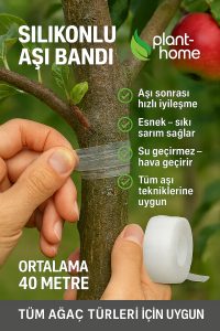 Şeffaf Silikon Aşı Bandı 3’lü Set – Hızlı İyileştirme Bandı - Görsel 4