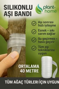 Silikonlu Aşı Bandı – Şeffaf Aşı Bağı, Esnek ve Su Geçirmez Aşı Bandı - Görsel 2