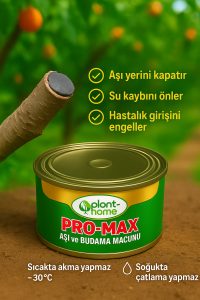 Aşı ve Budama Macunu – Ağaç Yarası Kapatıcı, Su Kaybı ve Hastalık Önleyici - Görsel 2