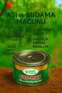 Aşı ve Budama Macunu – Ağaç Yarası Kapatıcı, Su Kaybı ve Hastalık Önleyici - Görsel 3