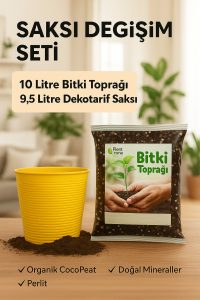Saksı Değişim Seti – 10 Litre Böcek Sinek Yapmayan Organik Çiçek Toprağı + 9,5 Litre Dekoratif Saksı