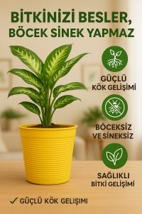 Saksı Değişim Seti – 10 Litre Böcek Sinek Yapmayan Organik Çiçek Toprağı + 9,5 Litre Dekoratif Saksı - Görsel 3