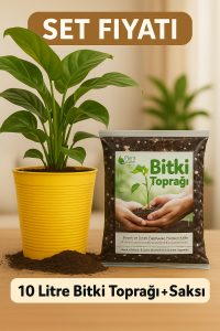 Saksı Değişim Seti – 10 Litre Böcek Sinek Yapmayan Organik Çiçek Toprağı + 9,5 Litre Dekoratif Saksı - Görsel 4