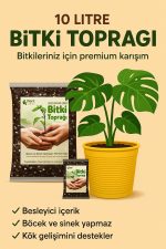 Saksı Değişim Seti – 10 Litre Böcek Sinek Yapmayan Organik Çiçek Toprağı + 9,5 Litre Dekoratif Saksı - Görsel 5