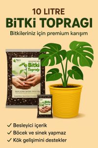 Saksı Değişim Seti – 10 Litre Böcek Sinek Yapmayan Organik Çiçek Toprağı + 9,5 Litre Dekoratif Saksı - Görsel 5