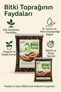 Saksı Değişim Seti – 10 Litre Böcek Sinek Yapmayan Organik Çiçek Toprağı + 9,5 Litre Dekoratif Saksı - Görsel 6